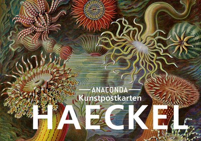 Postkarten-Set Ernst Haeckel 18 Kunstpostkarten Ernst Haeckel Taschenbuch 18 S.