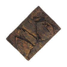 Reptile Box Backdrop Bearded Dragon Background Aquarium D cor Backgrounds