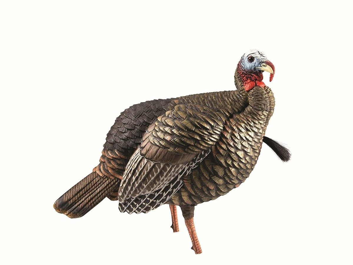 Avian-X HDR Jake Turkey Decoy - AVX8105 82271001030| eBay