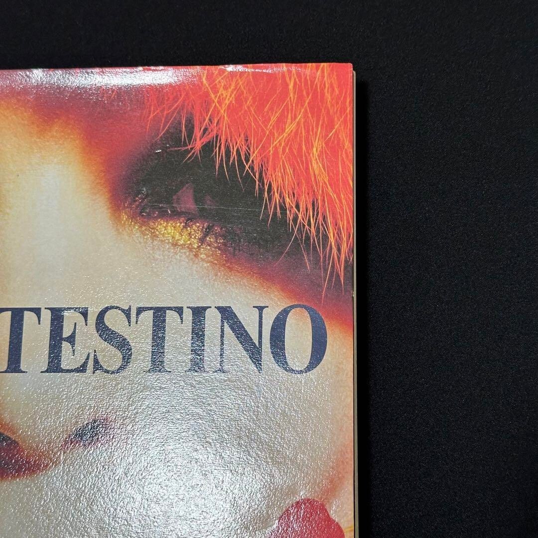 Mario Testino In Your Face From Japan used | eBay