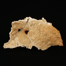 Small Cabinet Dolomite Cast, Tsumeb Mine, Namibia