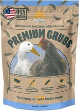 Black Soldier Fly Larvae - High Calcium Treat for Chickens  Wild Birds