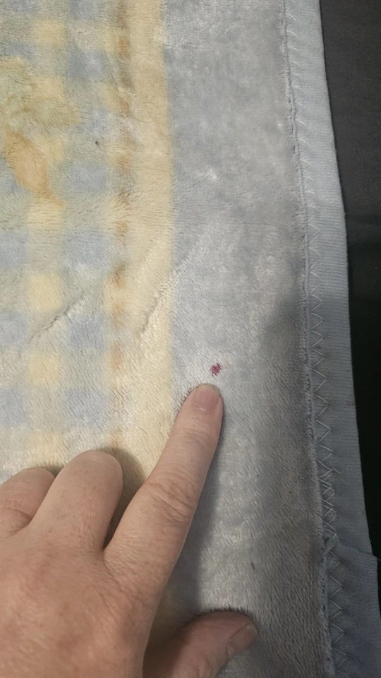 Crown Crafts Beatrix Potter Peter Rabbit 豪华毛绒抓绒婴儿毯 2001 — 第 2/4 张图片