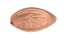 Elongated Penny "National Aquarium-Blacktip Shark" Baltimore MD COPPER