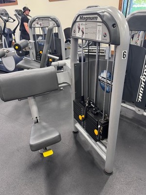 Magnum E Series Bicep Curl