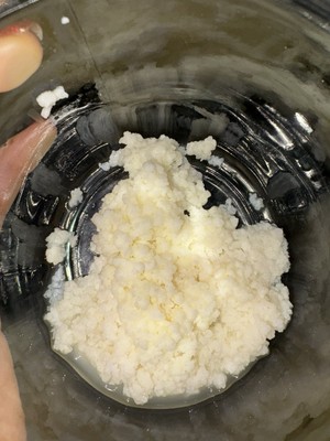 Kefir Pilz, Kefirknollen, Milchkefir,  Kefirpilz, Buttermilch für ca 0,5 L Milch