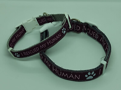 zecken halsband hund keramik EM-Keramik Halsband Modell 1  Hundewohl