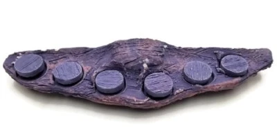 Oceans Wonders MAG Rock 6.0 Magnetic Coral Frag rack Plug Holder with 6 Plugs