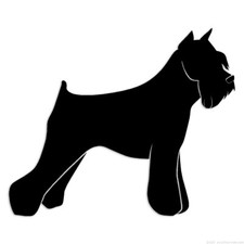 Schnauzer Dog - Decal Sticker - Multiple Colors  Sizes - ebn6545