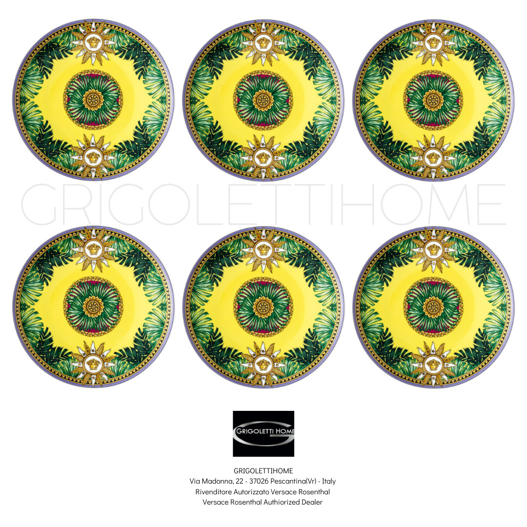 Versace Rosenthal - Jungle Animalier - 6 Dinner Plates Bread 17 cm - Retailer