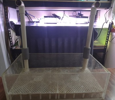 LONG Double UGF Box [Under Gravel Filter Box] for Shrimp Aquarium Filter