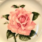 Bild 13 von 15