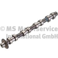 Kolbenschmidt 50007088 Nockenwelle FüR CitroëN, Fiat, Lancia, Peugeot