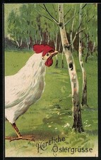 Ansichtskarte Huhn auf einer Wiese mit Birken...