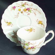 Myott Staffordshire Heritage Cup & Saucer 409576