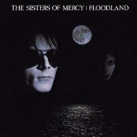 Floodland (Expanded & Remastered) - Sisters Of Mercy Cd Warner Strategic Mar