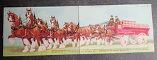 vtg postcard magnificent eight horse hitches Budweiser Clydesdales double foldou
