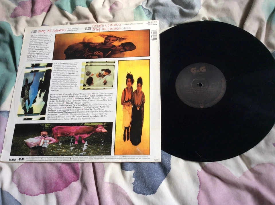 Edelweiss Bring Me Edelweiss US Remix 12” Vinyl Picture Cover Abba Sample - Image 2 of 2