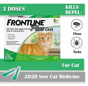 ebay frontline for cats