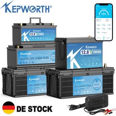 12V/24V 100Ah 120Ah 200AH 300Ah LiFePO4 Lithium Batterie BMS Bluetooth Solar RV
