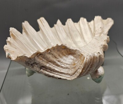 Faux Seashell Clam  Footed Resin Decorative Bowl 6'' Beach Nautical Decor
