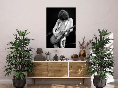 Jimmy Page Poster 24x36 Inch Live Concert Photo Rare Wall