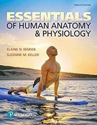 Essentials of Human Anatomy & - Hardcover, by Marieb Elaine Nicpon; - Very Good