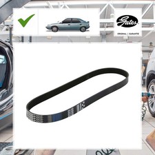 Keilrippenriemen Gates für Ford Grand C-max DXA/CB7, DXA/CEU 1.6 TDCi