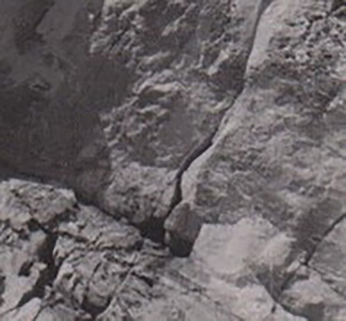 Two Pretty Attractive Young Women Beach Bikini Swimsuit Females Snapshot Photo - Picture 7 of 7