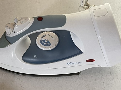 ebay steam iron