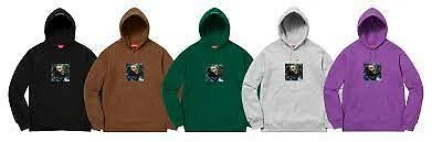 Sweat à capuche Supreme Marvin Gaye gris vert noir F/W 18