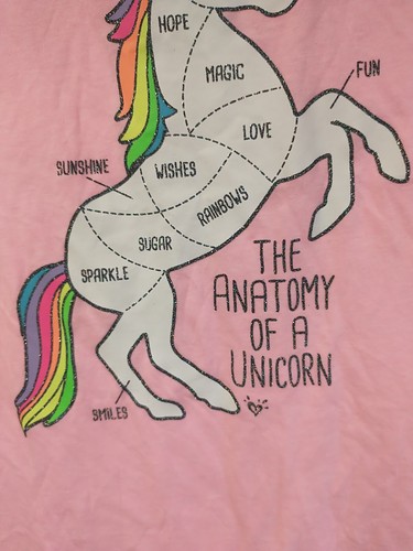 Girls Size 14 Unicorn Top Anatomy of A Unicorn Love Magic (B5) - Picture 5 of 9