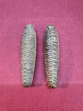 Vtg Two 7 Pine Cone Clock Weights 15oz each