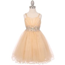 CHAMPAGNE Size 12 Tulle Wired Skirt Flower Girl Dress Birthday Bridesmaid Party