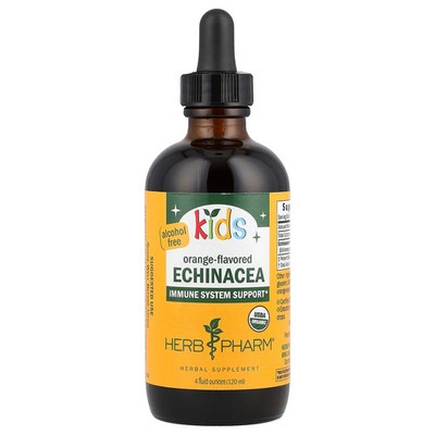 Kids Echinacea, Alcohol Free, Orange , 4 fl oz (120 ml)