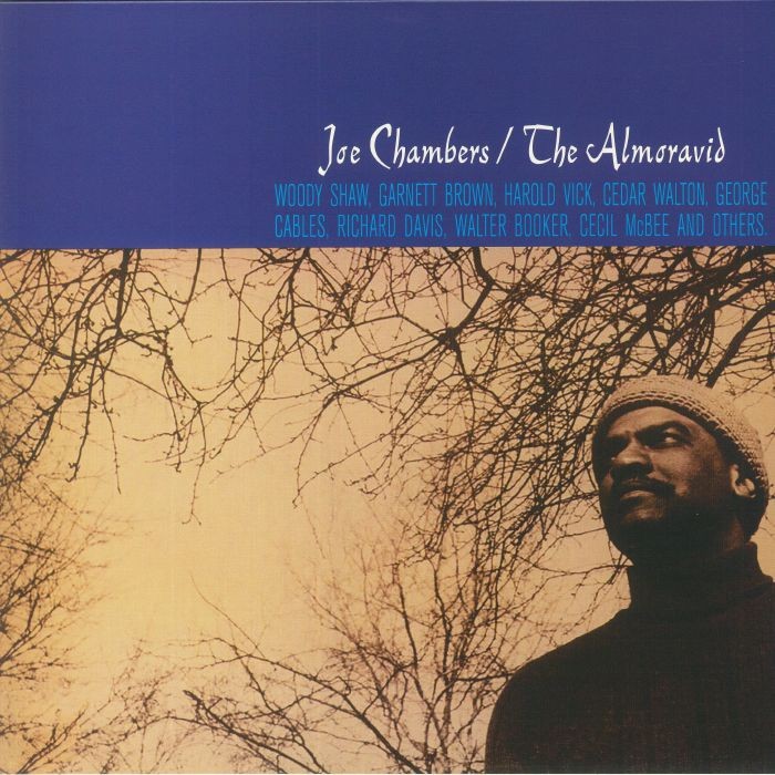 Joe Chambers The Almoravid - Image 5