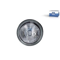Nebelscheinwerfer Rechts 12 V DT Spare Parts FüR U.A. Renault Clio