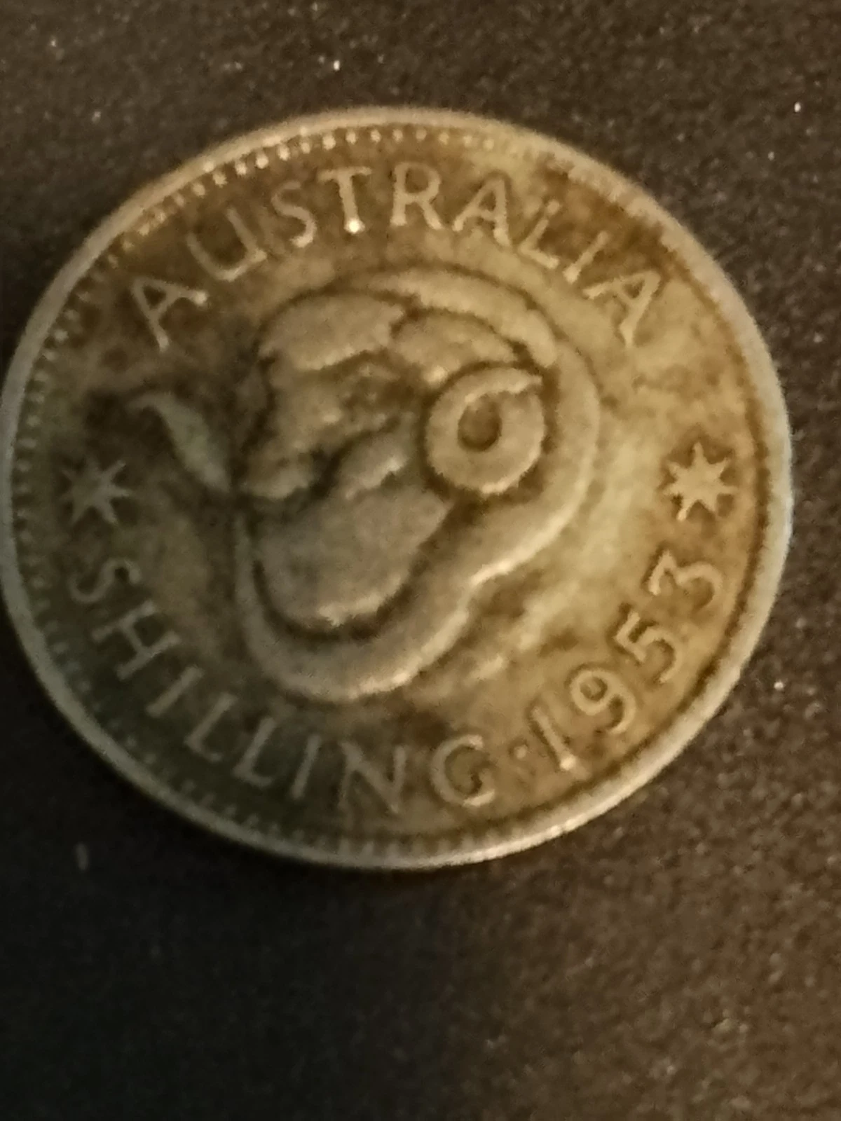 Picture 14 of 14