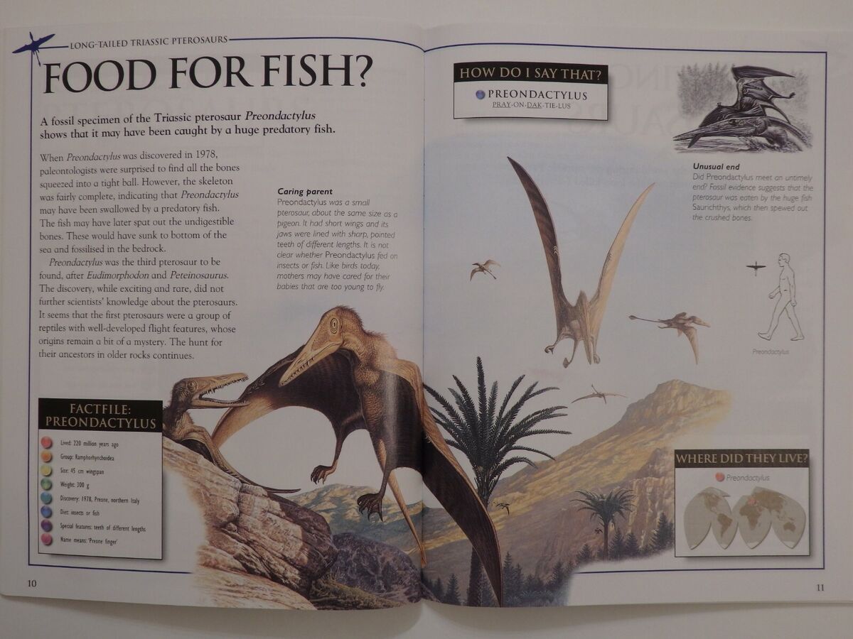 Tiny pterosaurs untimely end