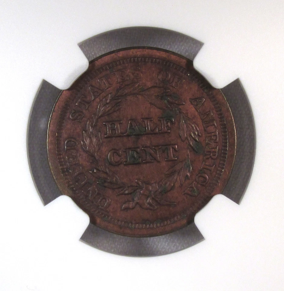 1851 Coronet Half Cent NGC UNC Details C-1 Coin AS12 - Image 4 of 4