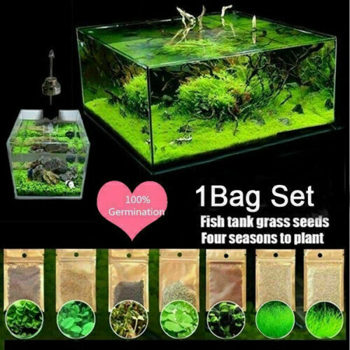 10g bag Aquarium オンラインショップ Plant Seeds Fish Water Aquatic Grass Foreg Tank 最大95％オフ！