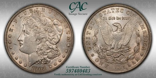 1902-S MORGAN CAC GENUINE AU DETAILS Key Date, High Resolution Photos.