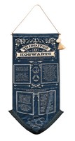 Harry Potter - Banner - Alumni Quidditch