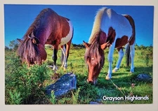 Virginia Postcards. Grayson Highlands.  Horses. 
