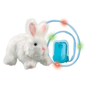 animagic rabbit