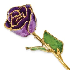 Lacquer Dipped Gold Trimmed Purple w/Sparkles Real Rose - FREE SHIPPING