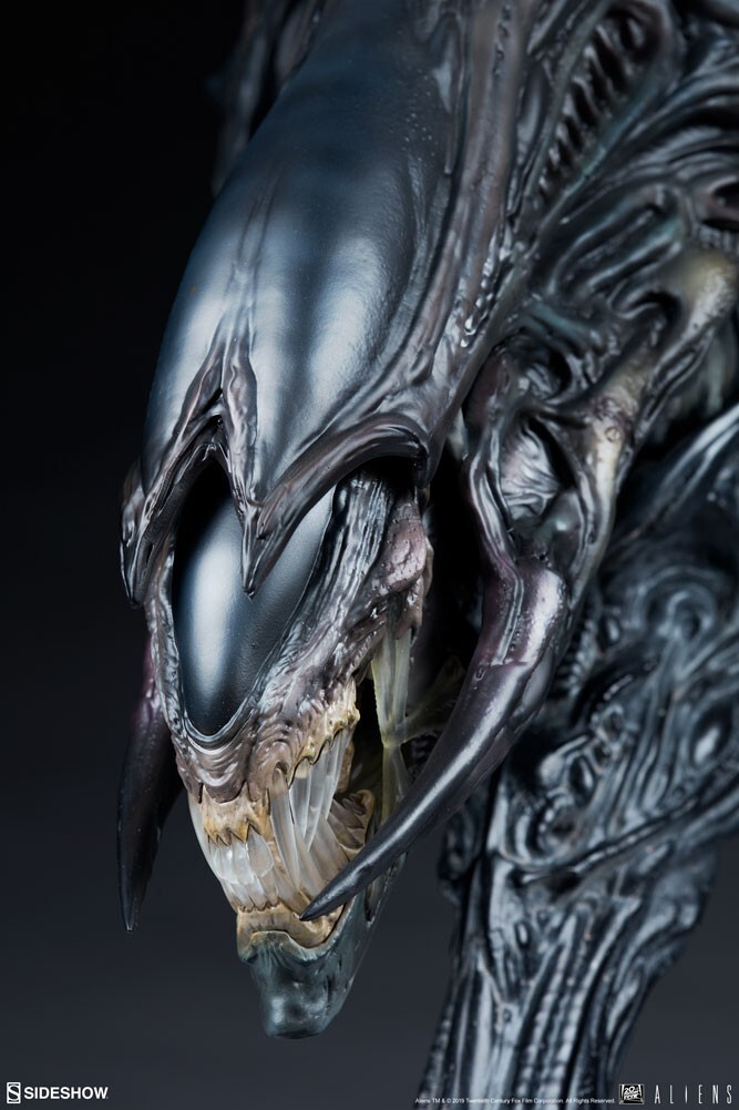 Sideshow Alien Queen Mythos Legendary Scale Bust | eBay