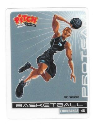 Pitch Sports Karte 2012 - Grau - Pro Team - Basketball
