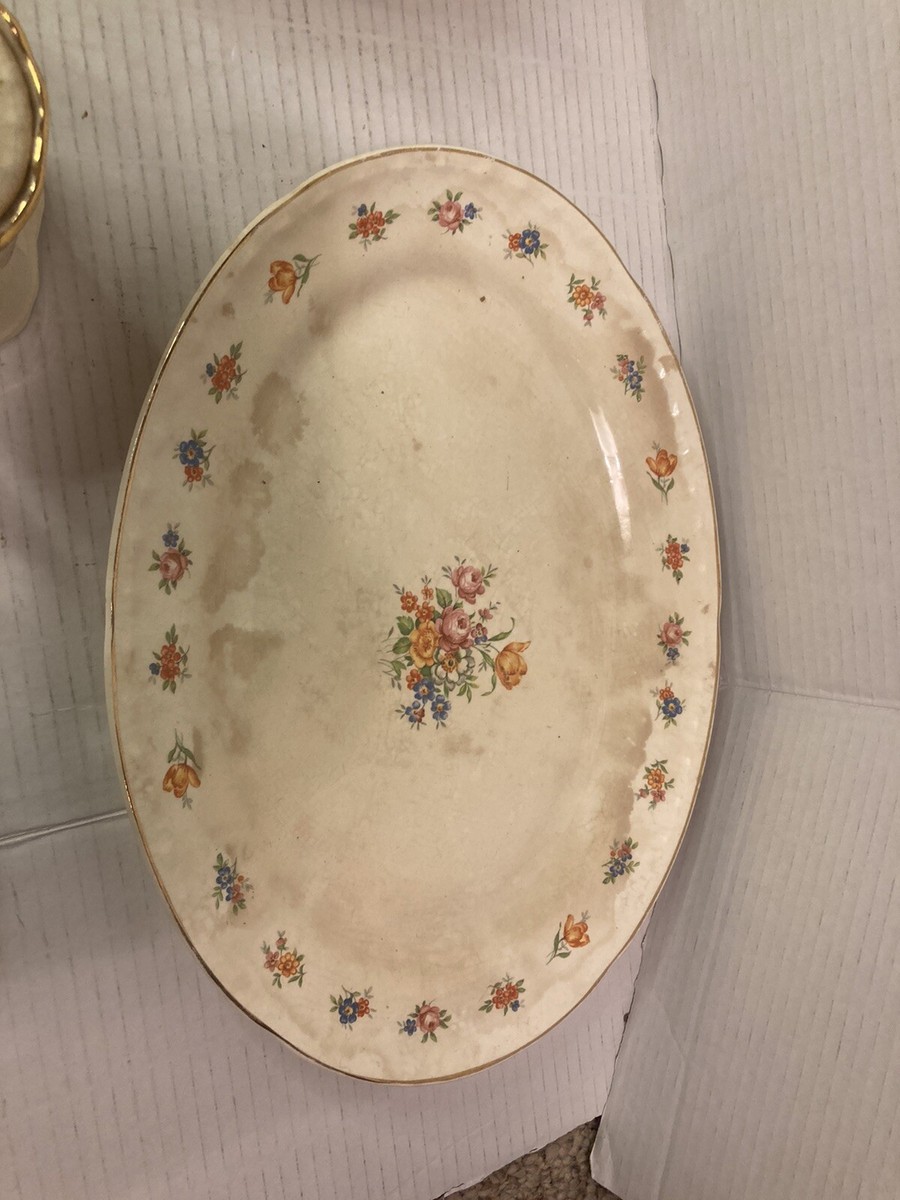 孔雀28 Vintage 28 Piece Crooksville China Rose Cluster Pattern Gold