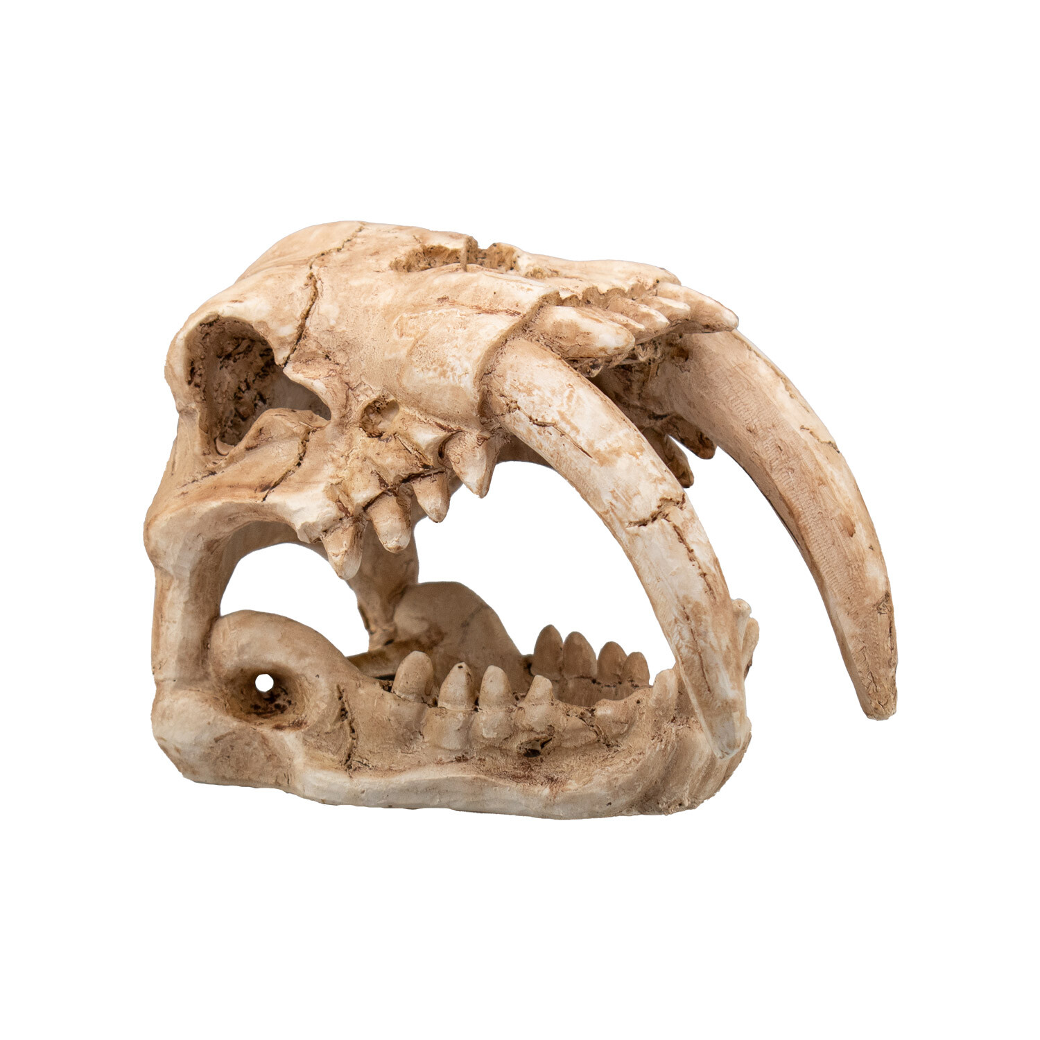 AQPET Decorart Decorazioni Per Acquari Mod. Fossil Skull